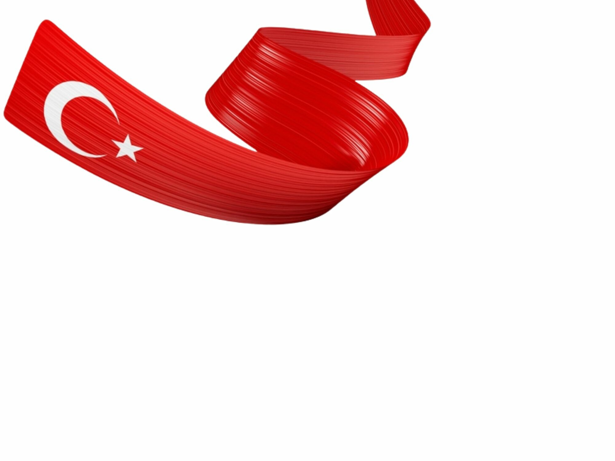 Spedizioni Internazionali Turchia Italia Insped Servizi