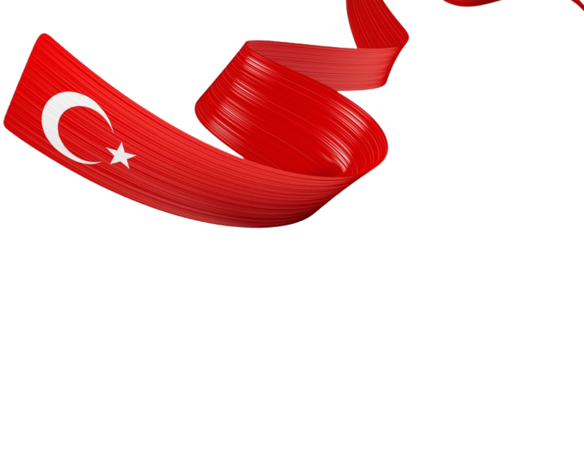 Spedizioni Internazionali Turchia Italia Insped Servizi